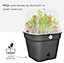 Elho Green Basics Square All  in 1 Recycled Plastic Growpot 25cm Living Black