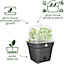 Elho Green Basics Square All  in 1 Recycled Plastic Growpot 35cm Living Black