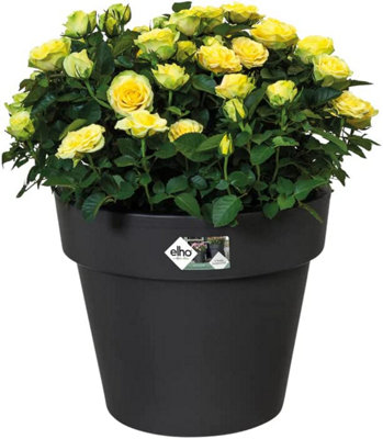 Elho Green Basics Top Planter 47cm Plastic Plant Pot in Living Black - 3