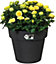 Elho Green Basics Top Planter 47cm Plastic Plant Pot in Living Black