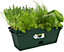 Elho Green Basics Trough Mini All in 1 Leaf Green 30cm Recycled Plastic Plant Pot