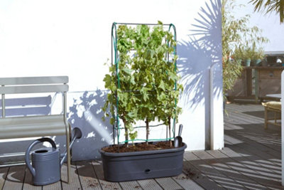 Elho Green Basics Veggie Wall 80cm Plastic Plant Pot in Living Black