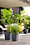Elho Greensense Aqua Care Square 30cm Plastic Plant Pot in Charcoal Grey