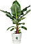 Elho Greenville Round 30cm Plastic Plant Pot in White