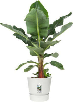 Elho Greenville Round 40cm Plastic Plant Pot in White - 3