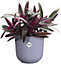 Elho Jazz Round 14cm Lavendar Lilac Recycled Plastic Plant Pot