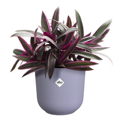 Elho Jazz Round 19cm Lavendar Lilac Recycled Plastic Plant Pot - 6