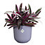 Elho Jazz Round 26cm Lavendar Lilac Recycled Plastic Plant Pot
