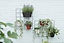 Elho Loft Urban Green Wall Duo 28cm Plastic Plant Pot in Anthracite