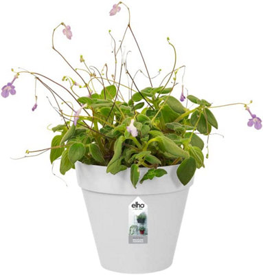 Plant pot Elho Ø 29,5 cm Anthracite polypropylene Plastic Squared