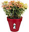 Elho Loft Urban Round 40cm Plastic Plant Pot in Cranberry Red