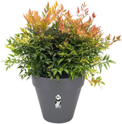Elho Loft Urban Round 60cm Plastic Plant Pot in Anthracite - 3