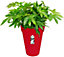 Elho Loft Urban Round High 35cm Plastic Plant Pot in Cranberry Red