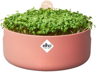 Elho Micro Greens Self Watering Herb Planter Recycled Plastic Pot Toffee Terracotta