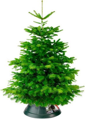 Elho Nordman 52 - Christmas Tree Stand for Indoor - 52 x H 20 cm - Green - 3