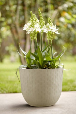 elho Pebble Grey Fuente Grains Round Planter 47cm (Dia) - 3