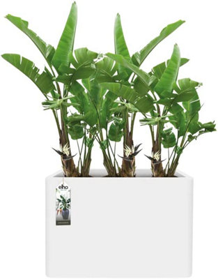 Elho Pure Soft Brick Divider 80cm Plastic Plant Pot Trough with Wheels in White