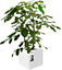 Elho Pure Soft Brick White 40cm Recyclrd Plastic Plant Pot
