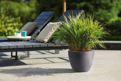 elho Pure Soft Round 50 - Flower Pot for Indoor & Outdoor - 49.0 x H 37.0 cm - Anthracite