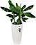 Elho Pure Soft Round High 30cm Plastic Plant Pot in White