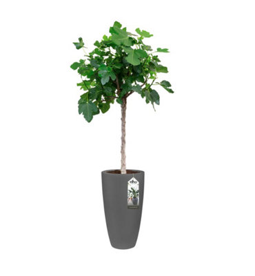 Plant pot Elho   White Ø 25 cm Plastic