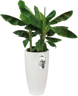 Elho Pure Soft Round High 35cm Plastic Plant Pot in White - 6