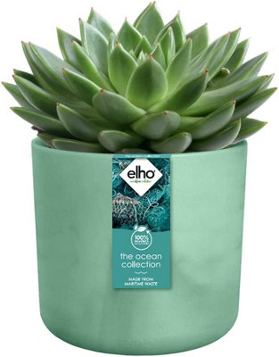 Elho The Ocean Collection 14cm Round Plastic Plant Pot in Pacific Green