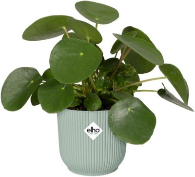 Elho Vibes Fold 14cm Round Sorbet Green Recycled Plastic Plant Pot - 4
