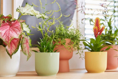 Elho Vibes Fold 14cm Round Sorbet Green Recycled Plastic Plant Pot - 5