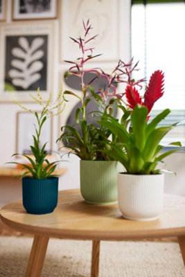 Elho Vibes Fold 14cm Round Sorbet Green Recycled Plastic Plant Pot - 6