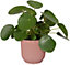 Elho Vibes Fold 16cm Round Delicate Pink Recycled Plastic Plant Pot