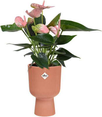 Elho Vibes Fold Coupe 14cm Delicate Pink Recycled Plastic Plant Pot