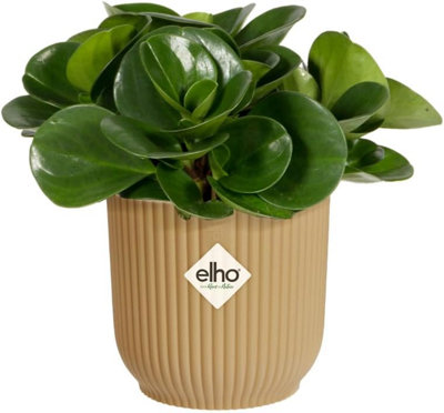 Elho Vibes Fold Mini 7cm Round Butter Yellow Recycled Plastic Plant Pot