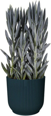 Elho Vibes Fold Round 35cm Plastic Plant Pot with Wheels in Deep Blue - 4