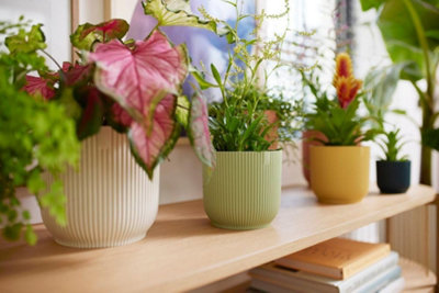 elho Vibes Fold Round Plant Pot 9cm Navy Blue Lightweight Indoor Pot ...