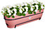 Elho Vibia Campana Recycled Plastic All in 1 Trough Plant Pot 70cm Dusty Pink