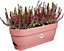 Elho Vibia Campana Recycled Plastic Trough Plant Pot 50cm Dusty Pink