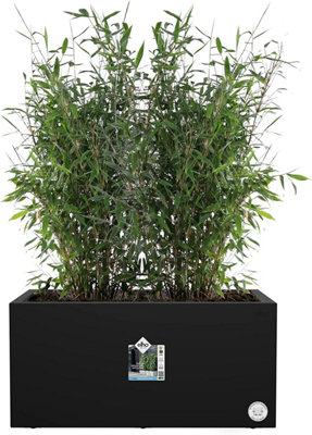 Elho Vivo Next Long 80cm Plastic Plant Pot Trough in Living Black - 4