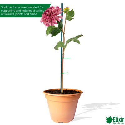 Elixir Gardens 90cm Split Canes Bamboo Plant Support x10