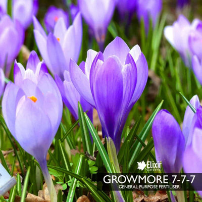 Doff Growmore 7-7-7 Ready To Use Fertiliser 2kg | Bargains