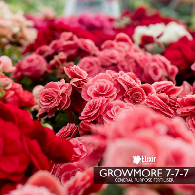 Elixir Gardens L4 Plastic Re-Usable Plant & Flower Labels | Pen & Pencil Compatible | From 50-10000 | 4" / 10cm Red Stick In Label X 50