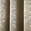 Elmwood Metallic Sheen Jacquard Pair of Eyelet Curtains