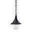 Elstead Shannon 1 Light Outdoor Coastal Ceiling Chain Lantern Black Polycarbonate IP44, E27