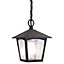 Elstead York 1 Light Outdoor Ceiling Chain Lantern Black IP43, E27