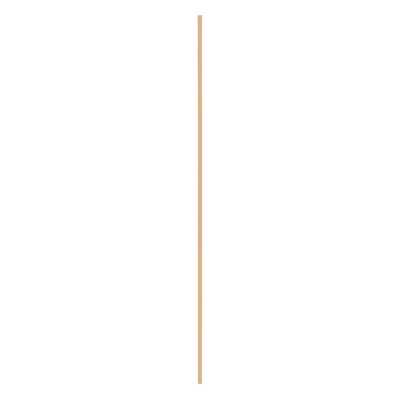 Emma Full Length Extra Large 170x50cm Copper Framed Rectangular Vertical Living Room Hallway Wall Mirror