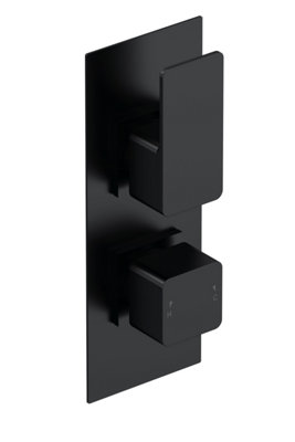 Empire Contemporary Bathroom Concealed Square Twin Thermostatic Shower Valve, 215mm, Matt Black - Balterley