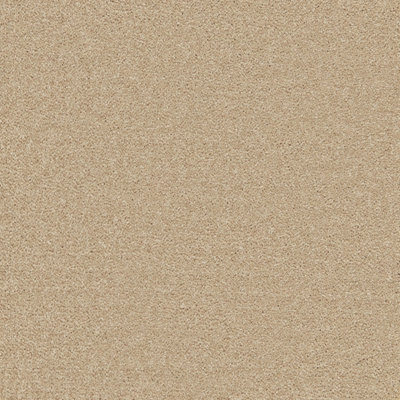 Enchantment Elite Carpet by Remland (Clouded Beige, 1m x 4m)