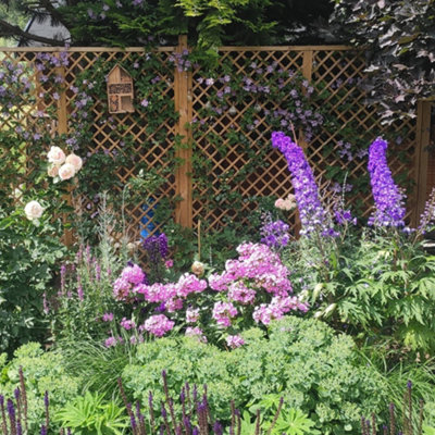 English Primrose Fan Outdoor Garden Privacy Screening Wall Trellis 1.83m x 1.8m - 3