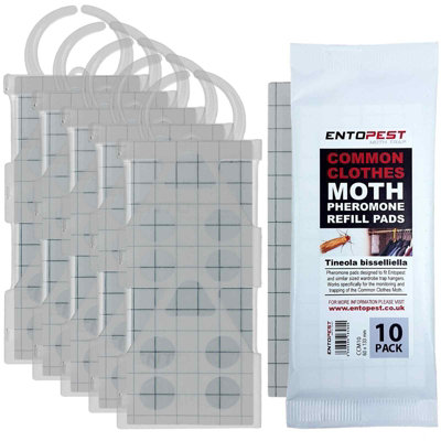 Photo inspiration: Fresh Look at Entopest Ccm Pheromone Trap Kit Tineola Bisselliella
