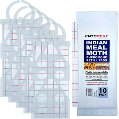 Entopest IMM Pheromone Trap Kit (Plodia interpunctella)